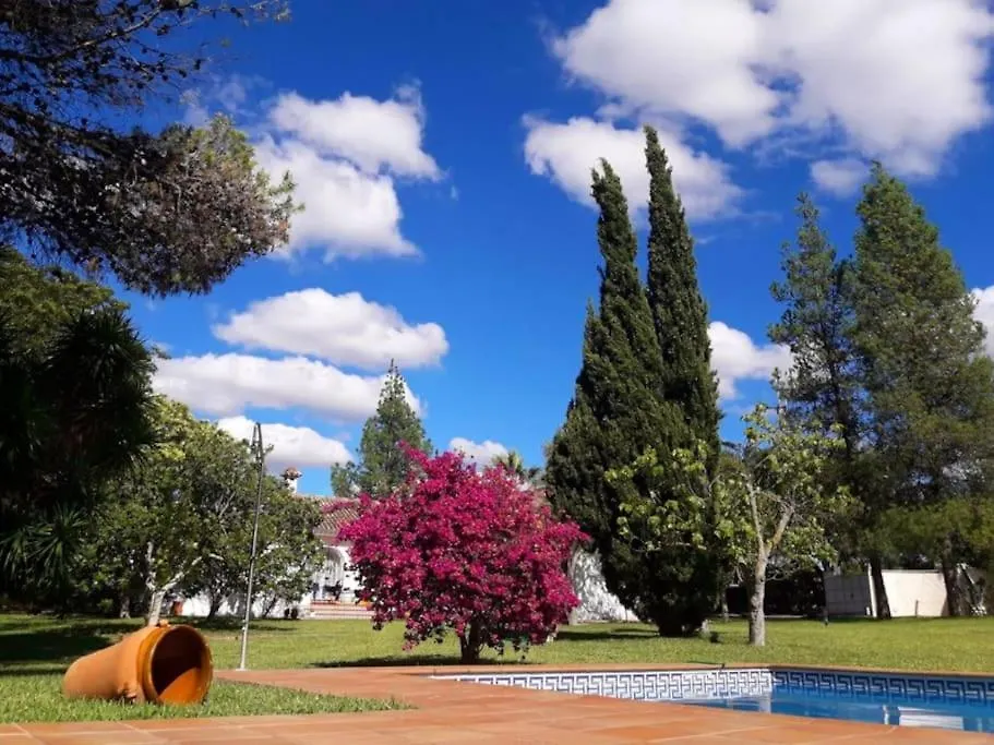 Casa 1 Dormitorio Con Piscina Privada Y Jardin Arcos de la Frontera Holiday home